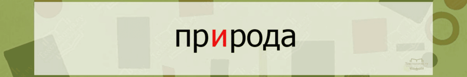Image